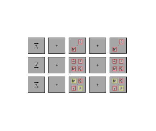 周-图2